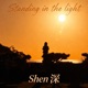 Standing in the light Single