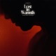 Lost in Warmth Single