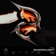 Shadowlight Single