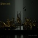 Pharaoh Single