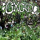 go quick yama Single