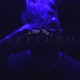Neptuno Versión extendida Single