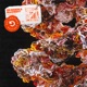 On Fire Single