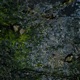 Soul Gravity EP
