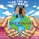 On Top of the World feat Guvna B Single