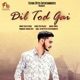 Dil Tod Gai Single
