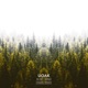 In My Mind Damaui Sick Trumpet Remix Single