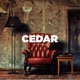 CEDAR Single