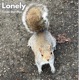 Lonely with Styl Plus Single