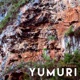 Yumuri Single