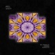 Sensity EP