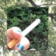Morning Cigarette Single