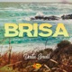 Brisa Single