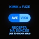 Recepta Na Sukces Ale To Sroga Vixa REMIX Single