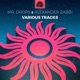 Various Tracks Single