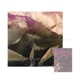 The Muffled Walk Single