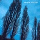 Triple Strike feat S B Lil Cot Single