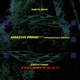 Amazon Prime Jungle Interplanetary Criminal Remix Single