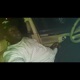 Hater reaction feat Freddy B Single