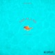Aqualand feat Rhyno Single